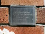 image of grave number 780113
